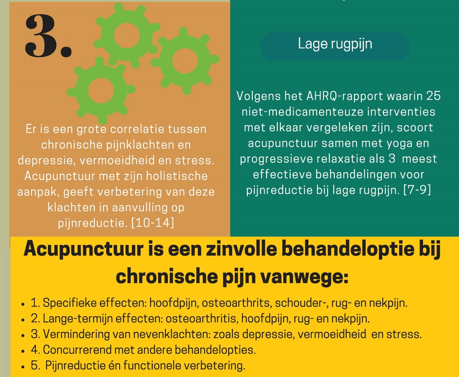 Chronische pijn - infographic