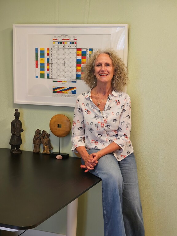 De gereedschapskist van de acupuncturist - Regine Sies over Hemelse Stammen en Aardse Takken