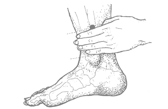 Van zomer naar herfst: bewegen van aarde naar metaal