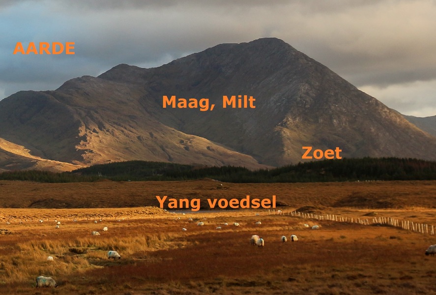 Voeding volgens de Vijf Elementen