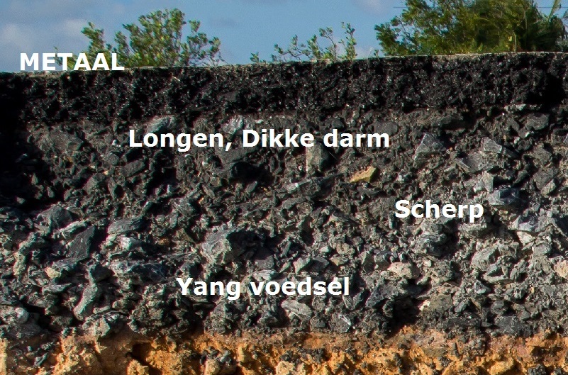 Voeding volgens de Vijf Elementen