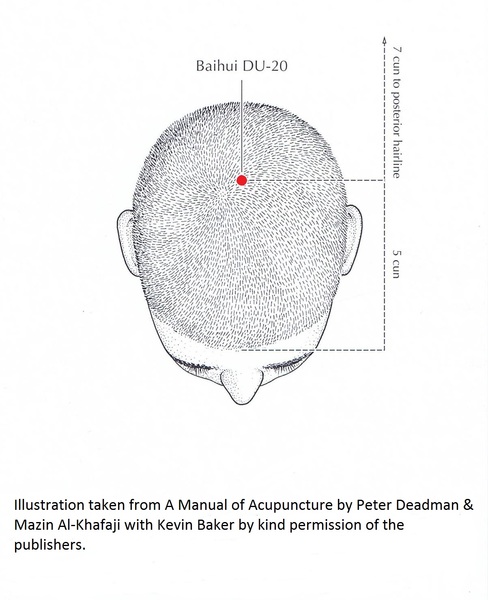 Honderd ontmoetingen