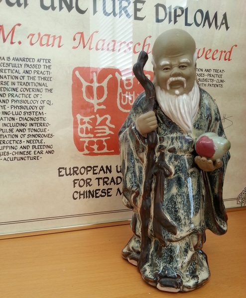 Wilma van Maarschalkerweerd