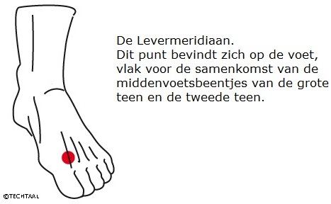 Burn-out bij studenten