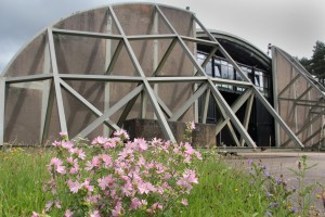 Shelter 611 en het Utrechts Landschap
