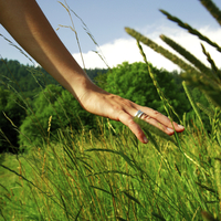 Acupuncture and rheumatism