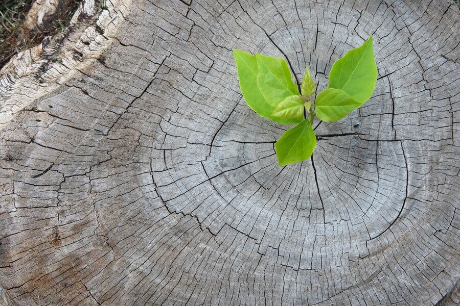 4 februari - Wereldkankerdag