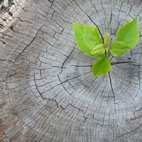 February 4 - World Cancer Day