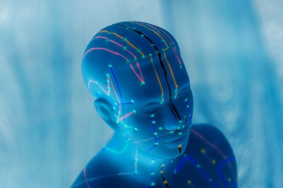 The toolbox of the acupuncturist - Ineke van der Ham on Applied Channel Theory