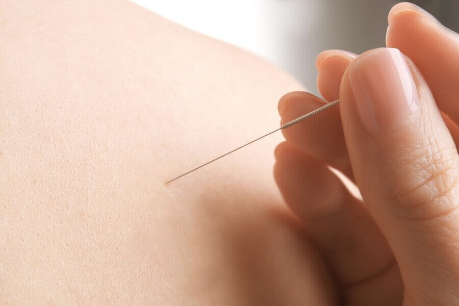 De gereedschapskist van de acupuncturist - Regine Sies over Hemelse Stammen en Aardse Takken