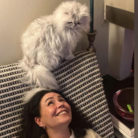 Herstellen vanuit het dieptepunt: Erika’s weg naar veerkracht