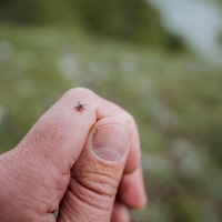 30 maart - Week van de Teek