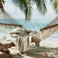 Langste dag van het jaar: de zomerzonnewende en het hoogtepunt van yang