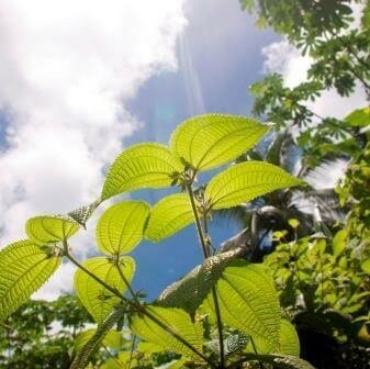 Breathing to destress