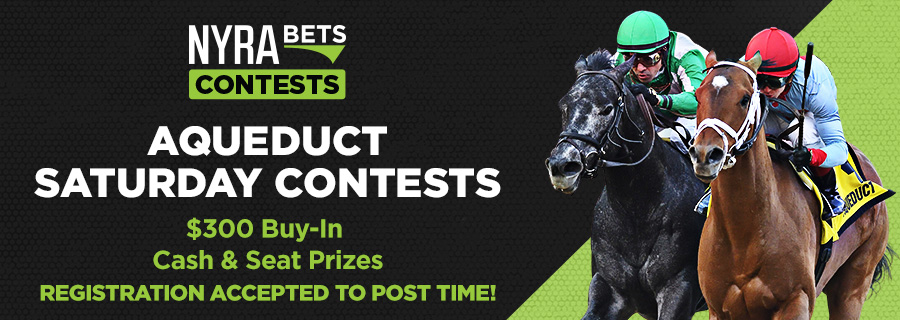 Nyra Aqueduct Handicappers Picks