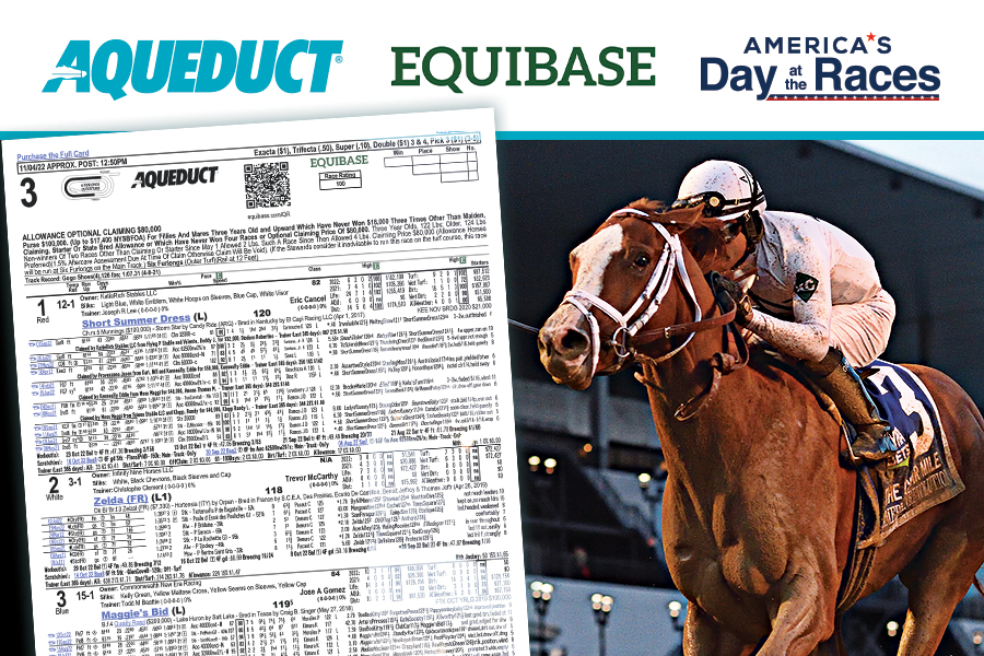 Expert Picks for Aqueduct Racetrack