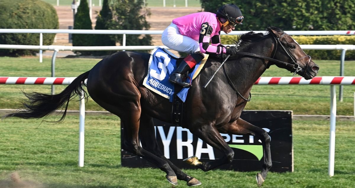 Deterministic proves best in G3 Hill Prince | Aqueduct