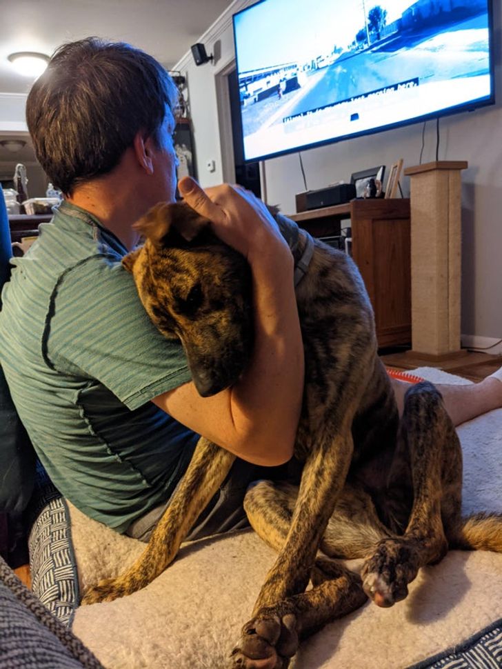 14 Photos Showing the Strong Bond Humans & Animals Share AsViral