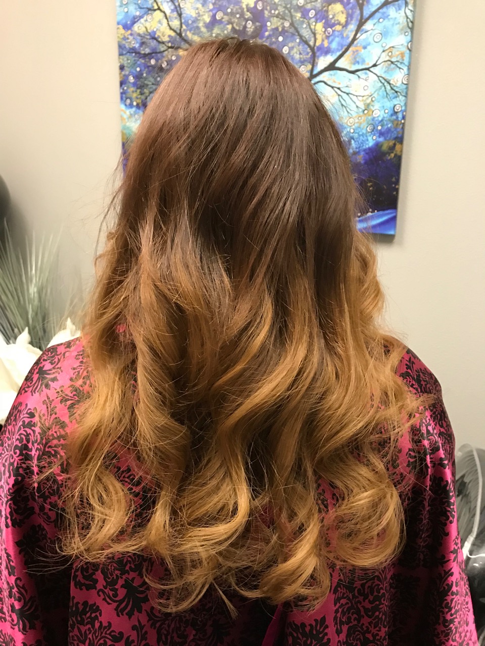 Minneapolis Hair Extensions Photo Gallery 1