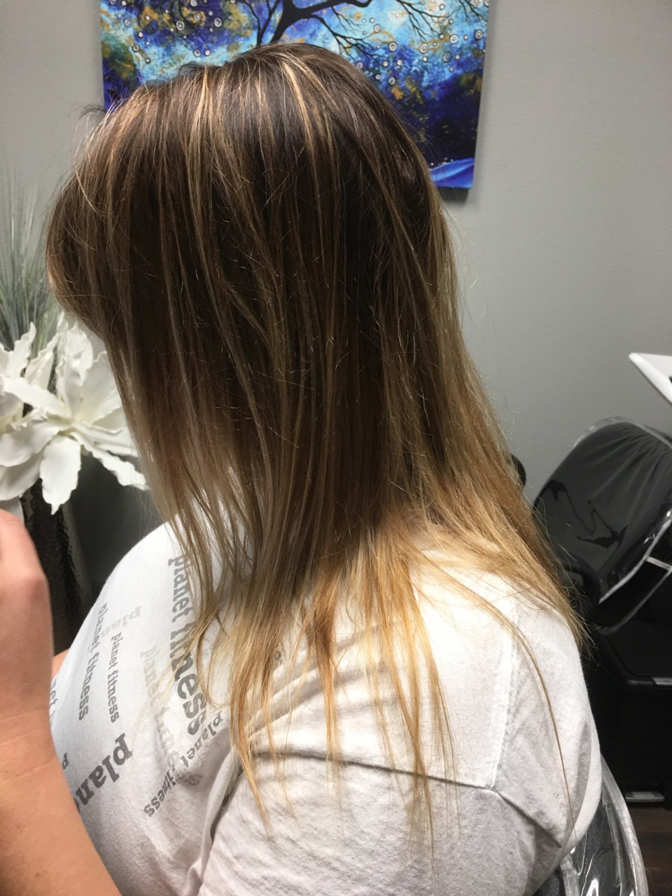 Minneapolis Hair Extensions Photo Gallery 1