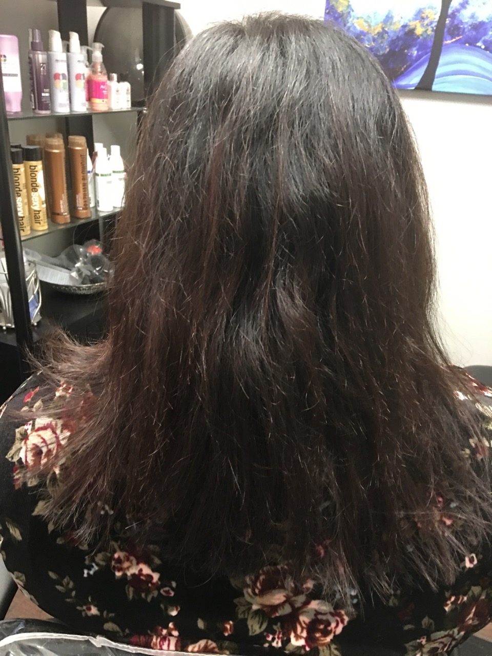 Minneapolis Hair Extensions Photo Gallery 1