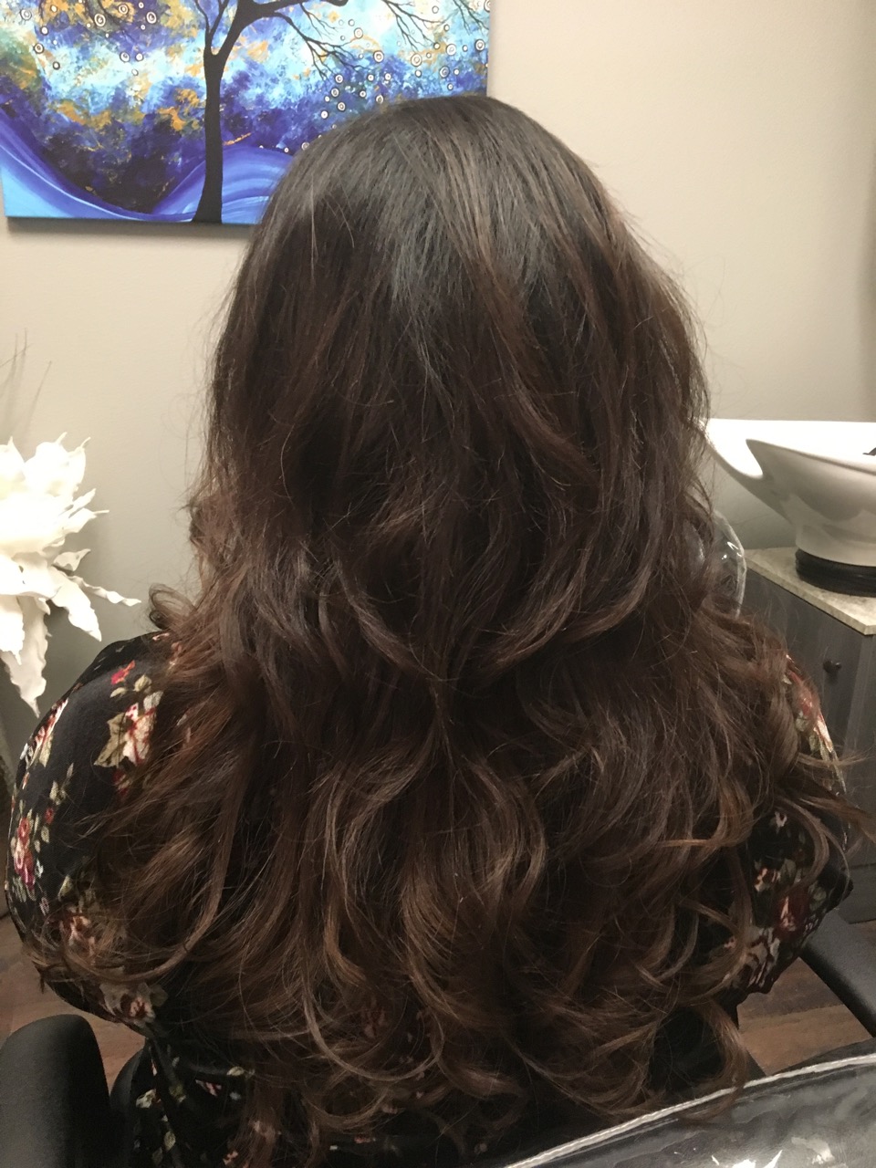 Minneapolis Hair Extensions Photo Gallery 1