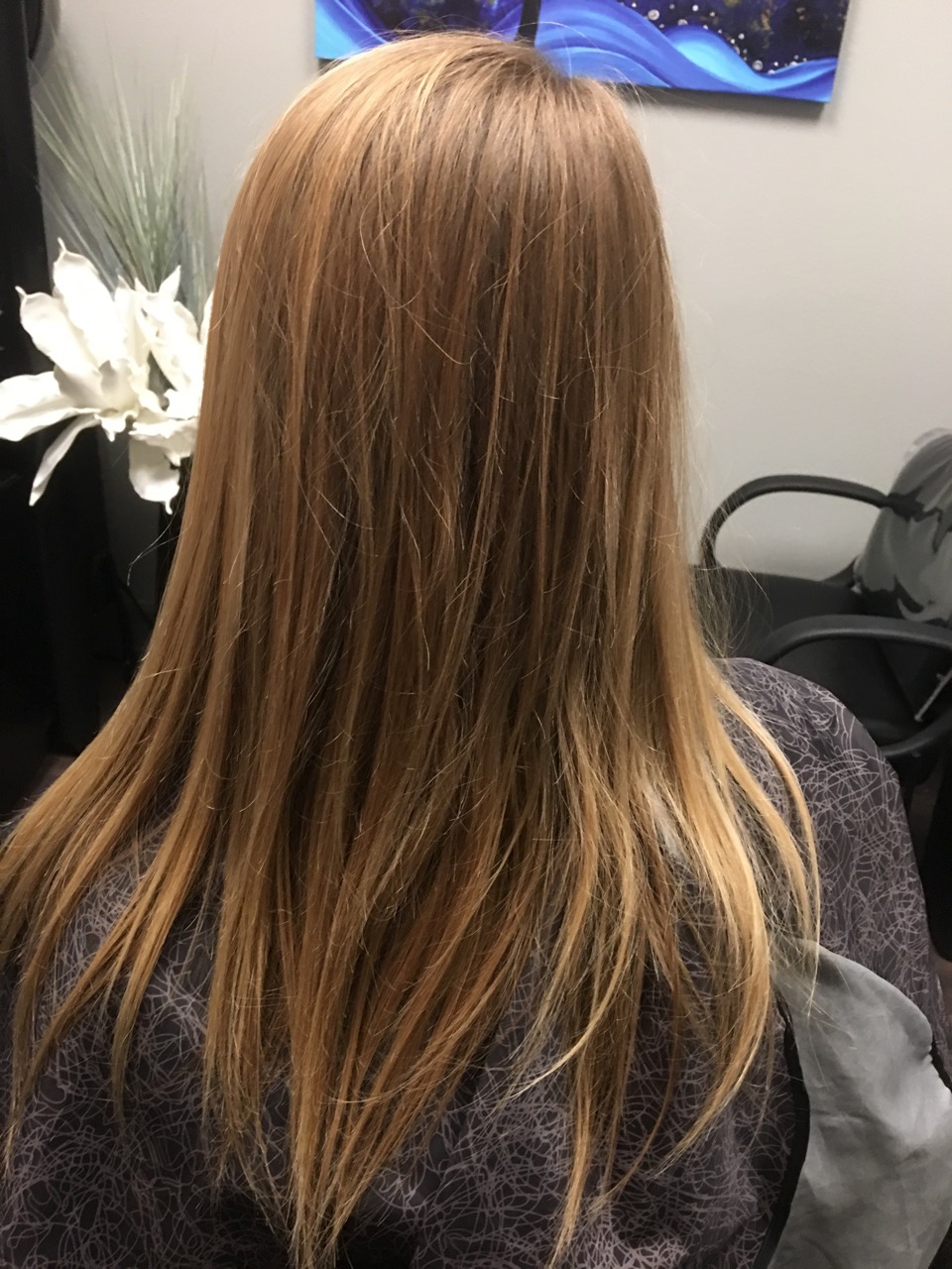 Minneapolis Hair Extensions Photo Gallery 1