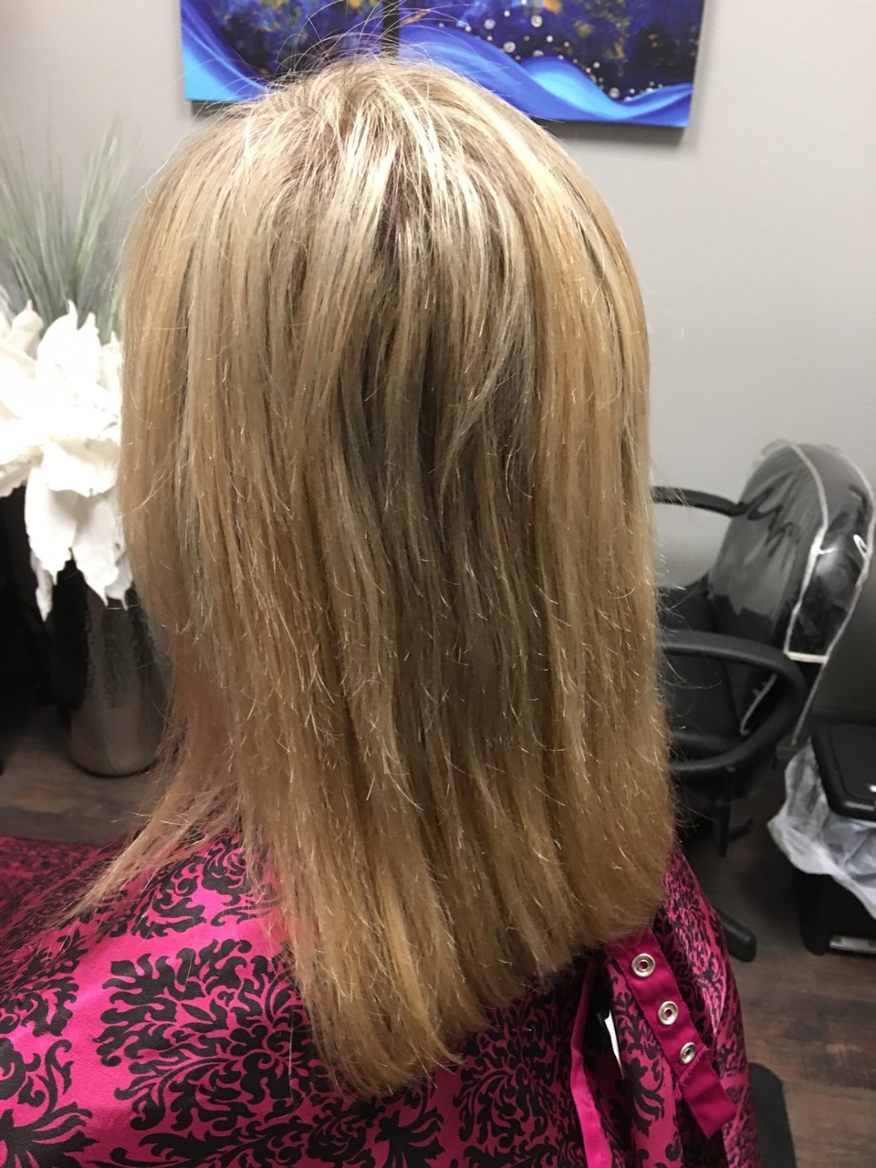 Minneapolis Hair Extensions Photo Gallery 2