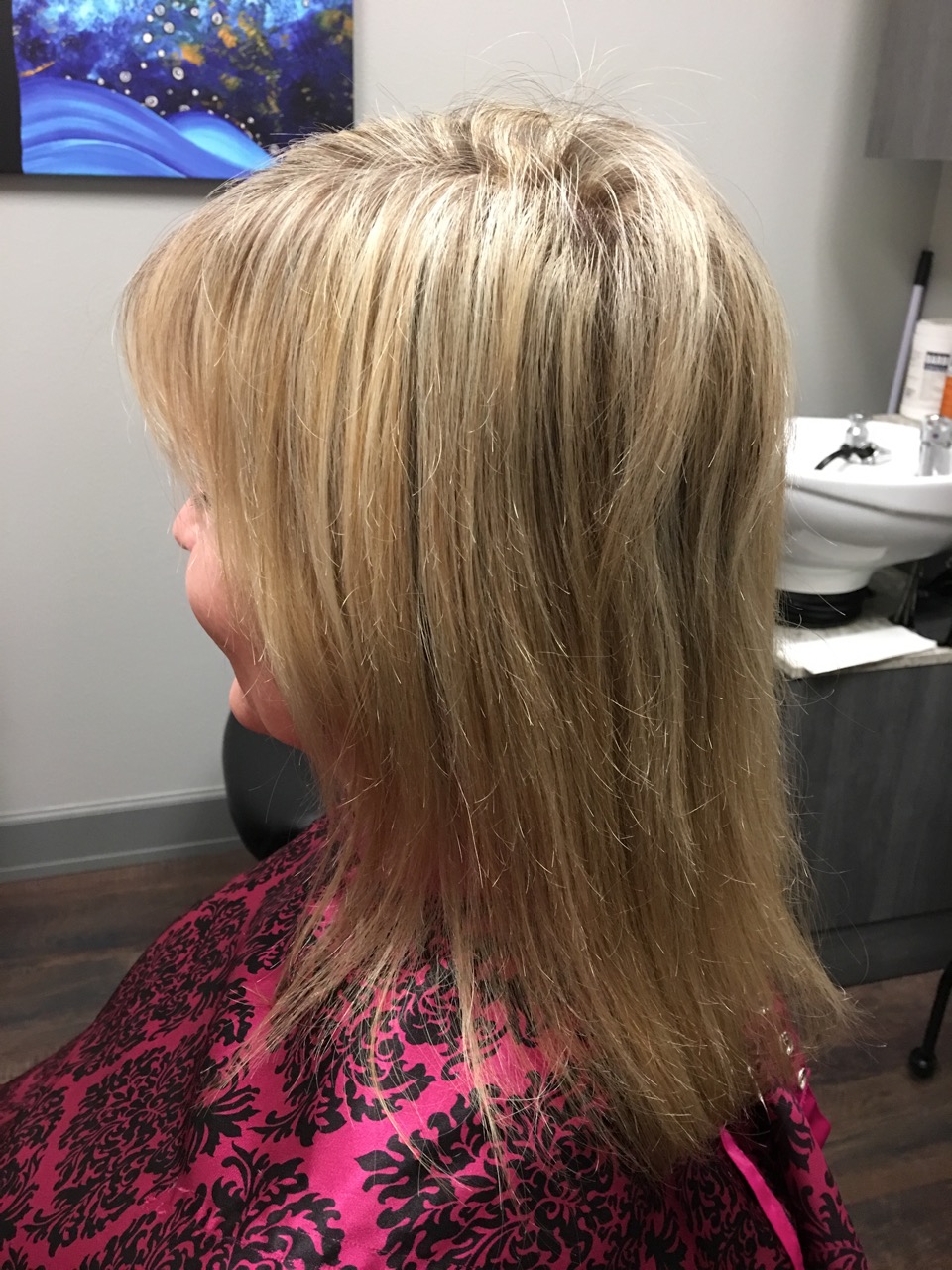 Minneapolis Hair Extensions Photo Gallery 2