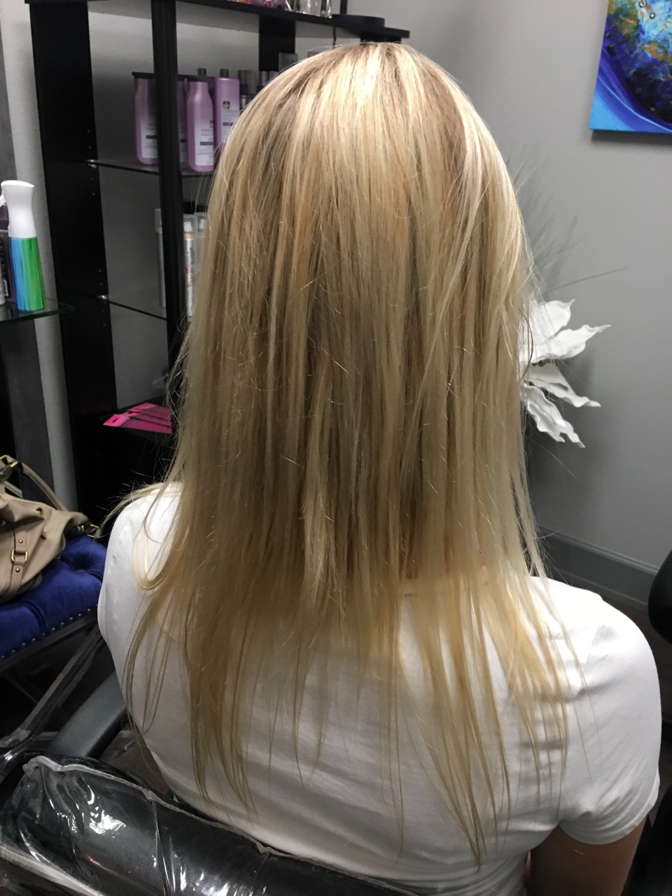 Minneapolis Hair Extensions Photo Gallery 2