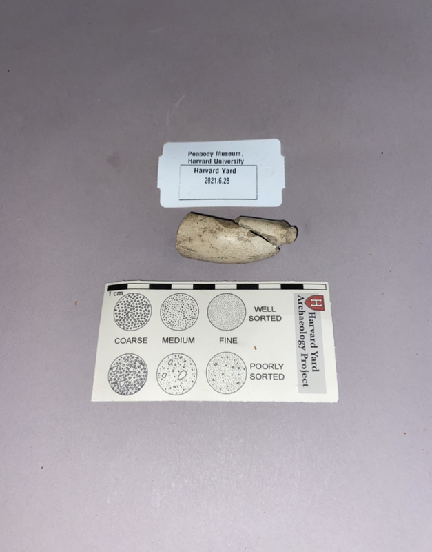 Two fragments of white clay pipe bowl placed together