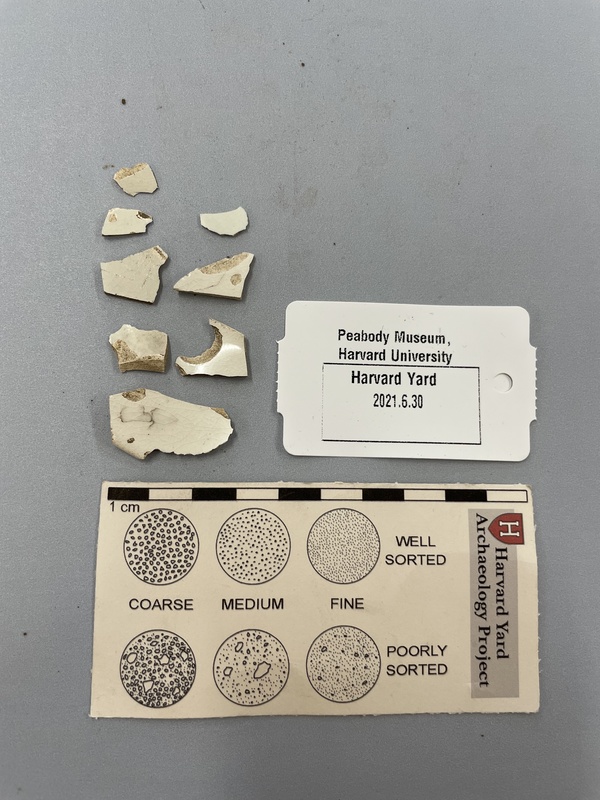 Whiteware sherds.jpg