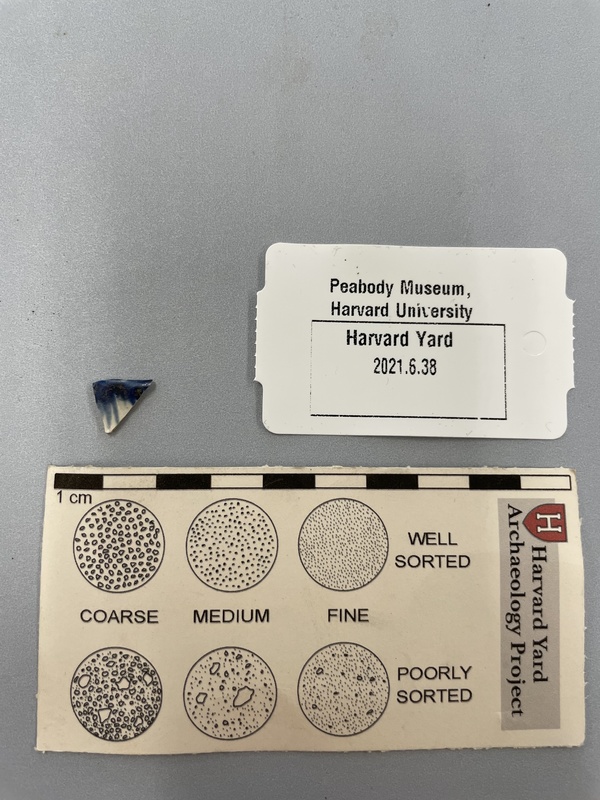 Shell edge pearlware plate  rim sherd .jpg