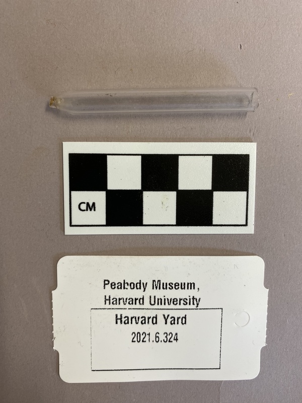 20th cen glass pipette fragment.jpg