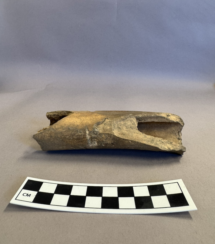 Screenshot 2026-02-26 at 6.13.22 PM.png