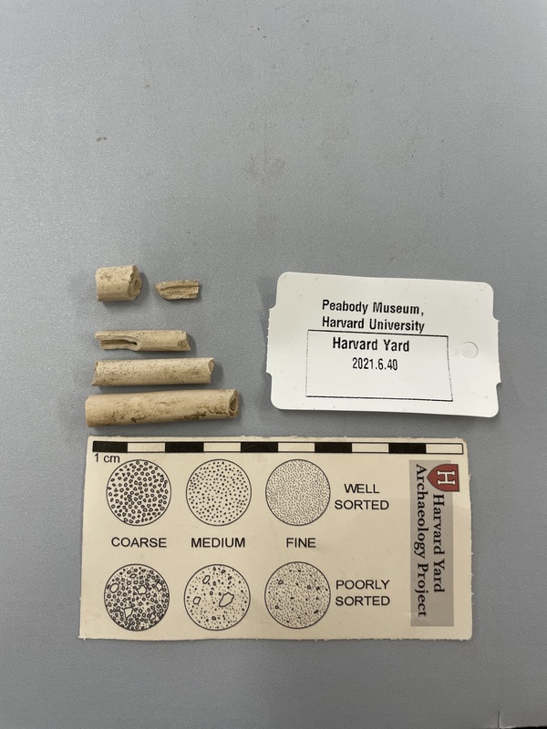 5 Pipe Stem Fragments.jpg