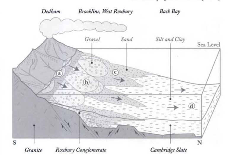 This schematic shows formation of Cambridge slate, or mudstone. The ocean pressurizes the gravel, sand, and silt and clay deposited onto the floor, leading to mudstone formation.