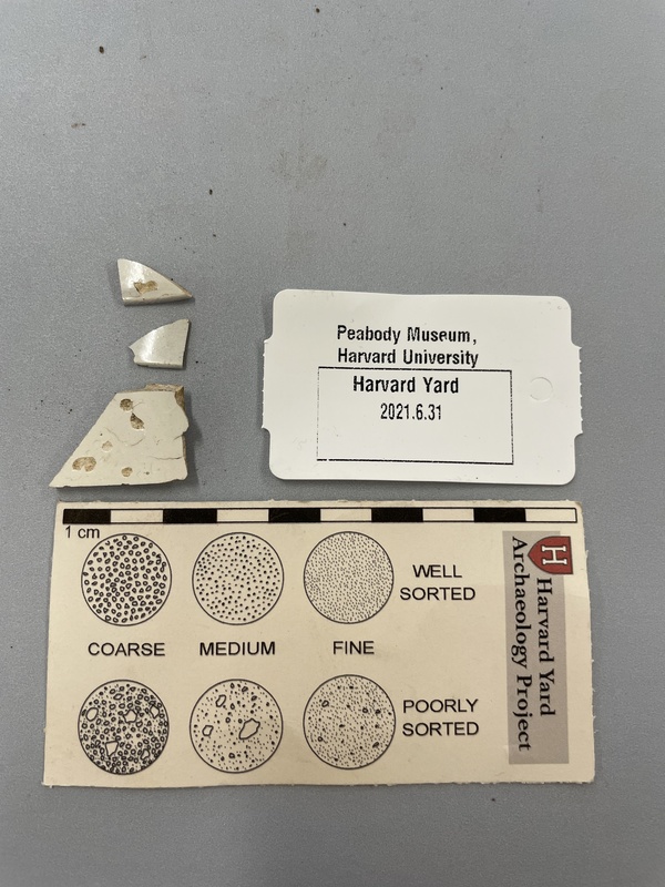 Pearlware Sherds.jpg