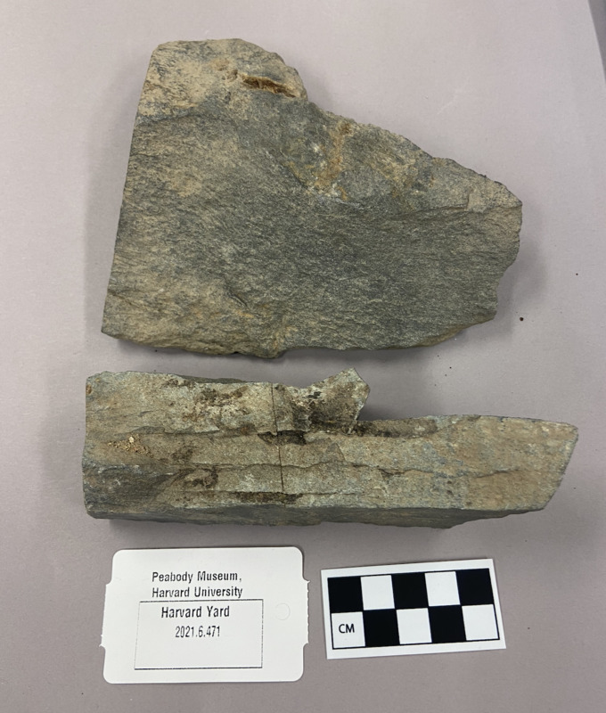 Screen Shot 2022-04-07 at 2.20.14 PM.png