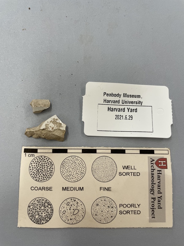 Ironstone sherds.jpg