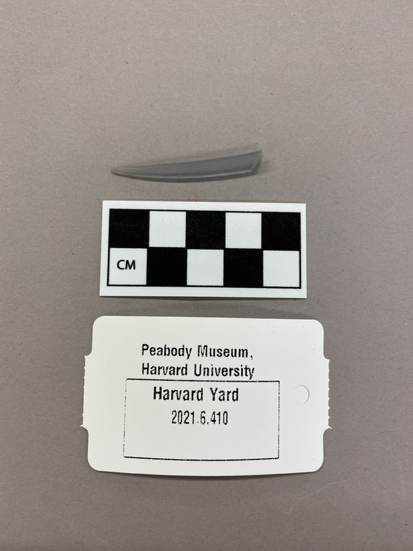 curved plastic piece.jpg