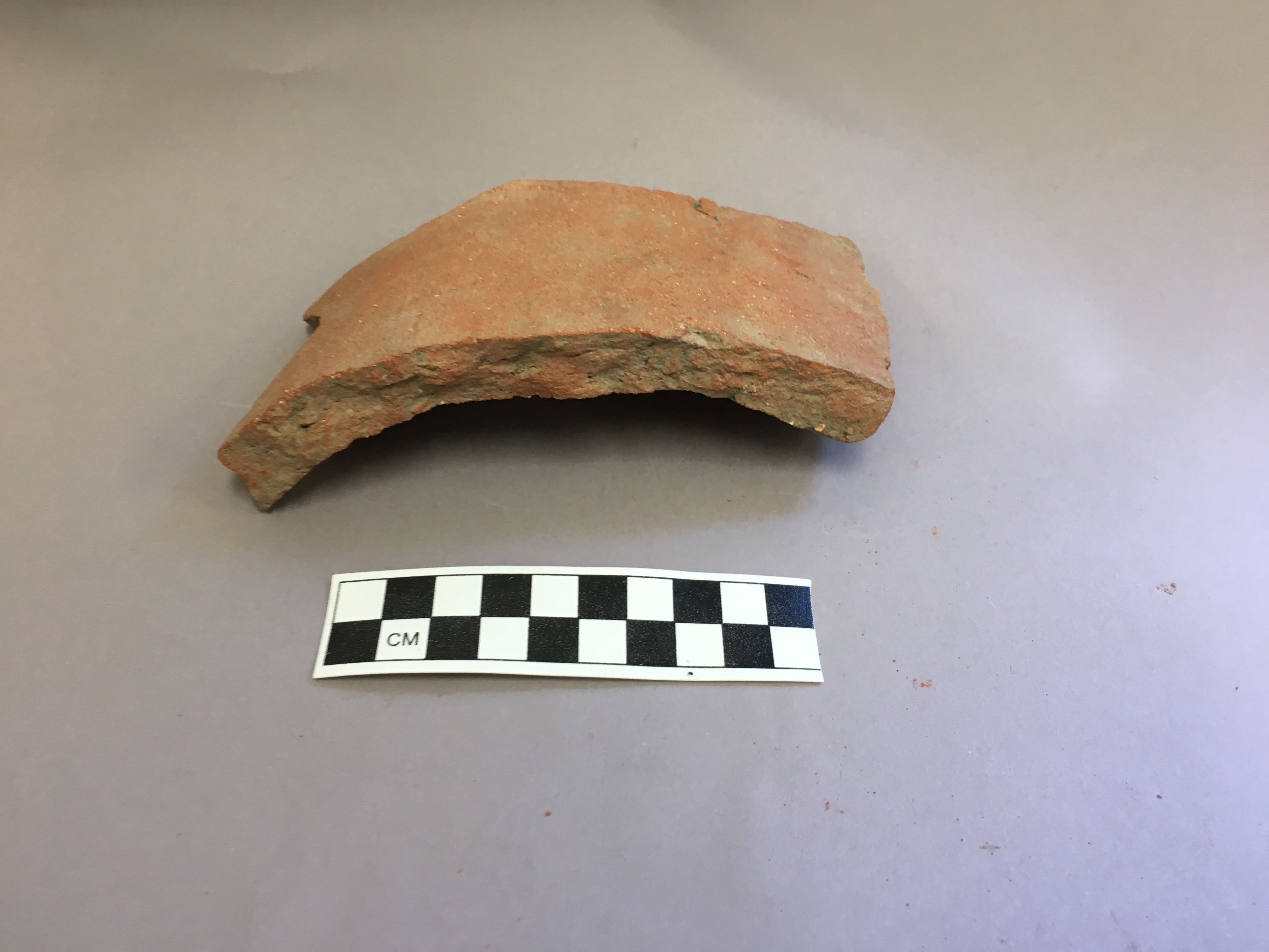 Large Fragment of a Curved Roof Tile · ANTH 1130