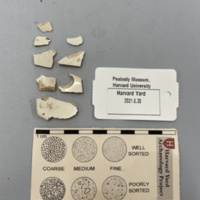 Whiteware sherds.jpg