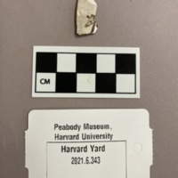 Transfer Print Refined Earthenware.jpg