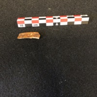 Photo of the Manganese-Mottled Sherd