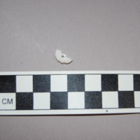 A picture of the ceramic button found in H930.