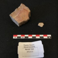 Screen Shot 2019-04-25 at 8.47.03 PM.png