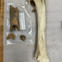 Screenshot 2026-03-21 at 9.36.38 PM.png