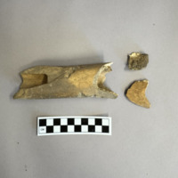 Screenshot 2026-03-21 at 8.52.49 PM.png