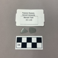 Screen Shot 2022-04-07 at 2.13.41 PM.png